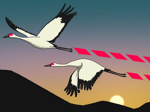 Illustration of two cranes in flight with stylized graphics marking their flight path. In the background, the sun sets behind a mountain.