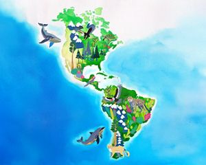 An illustrated map depicts North and South America.