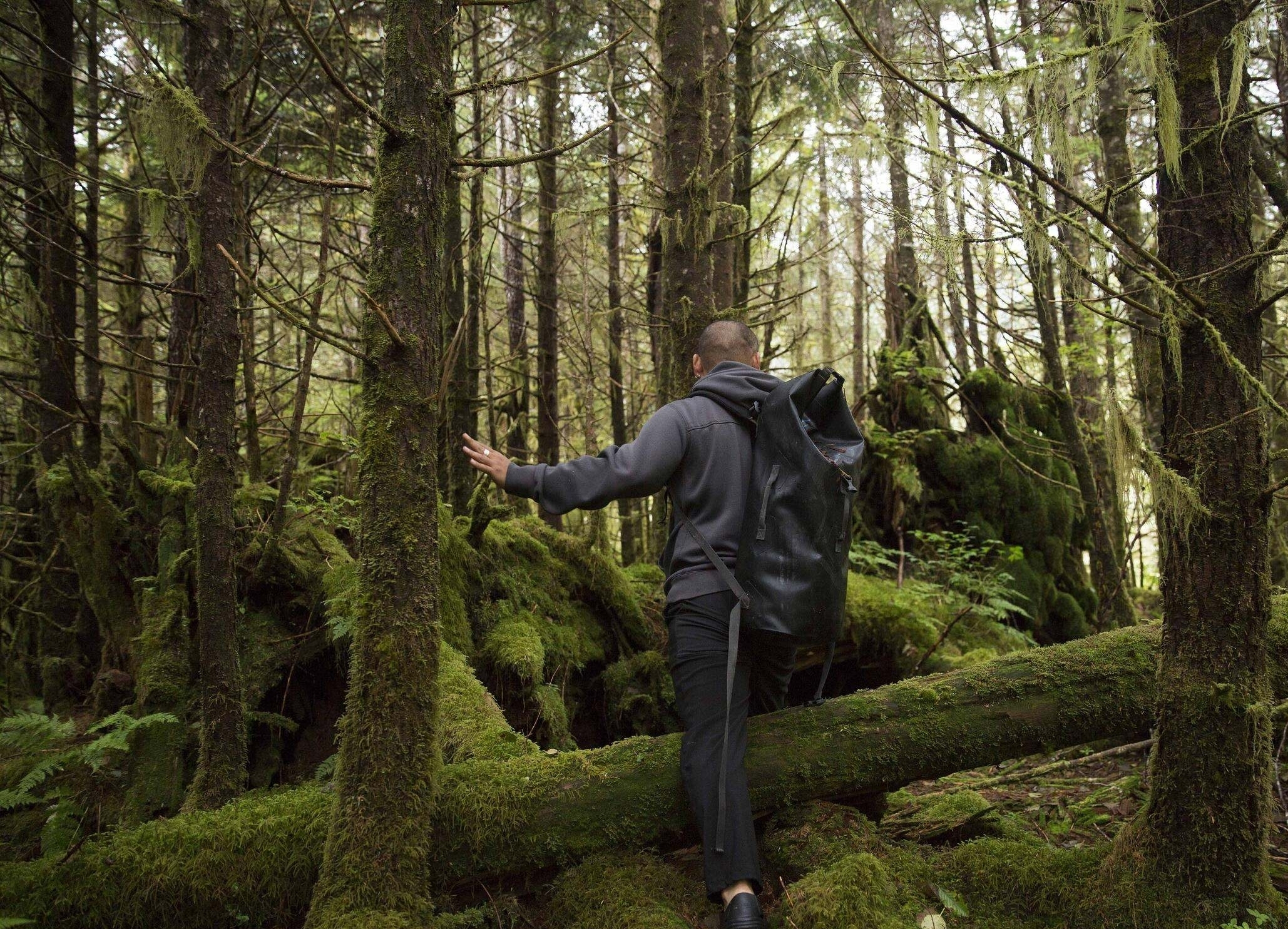 a man stands in a mossy green forest.