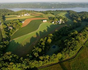 Aerial view of green farmlands.