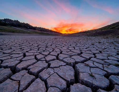 Dry river bed under a vibrant orange sunset.