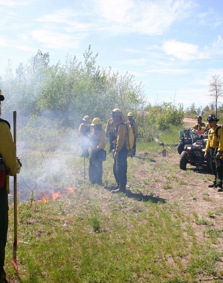 Fire crew at a prescribed burn.