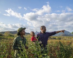 Two people, one holding a child in their arms, stand in a field of crops.