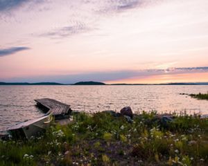 dock on lakeshore blooming with wildflowers at sunset