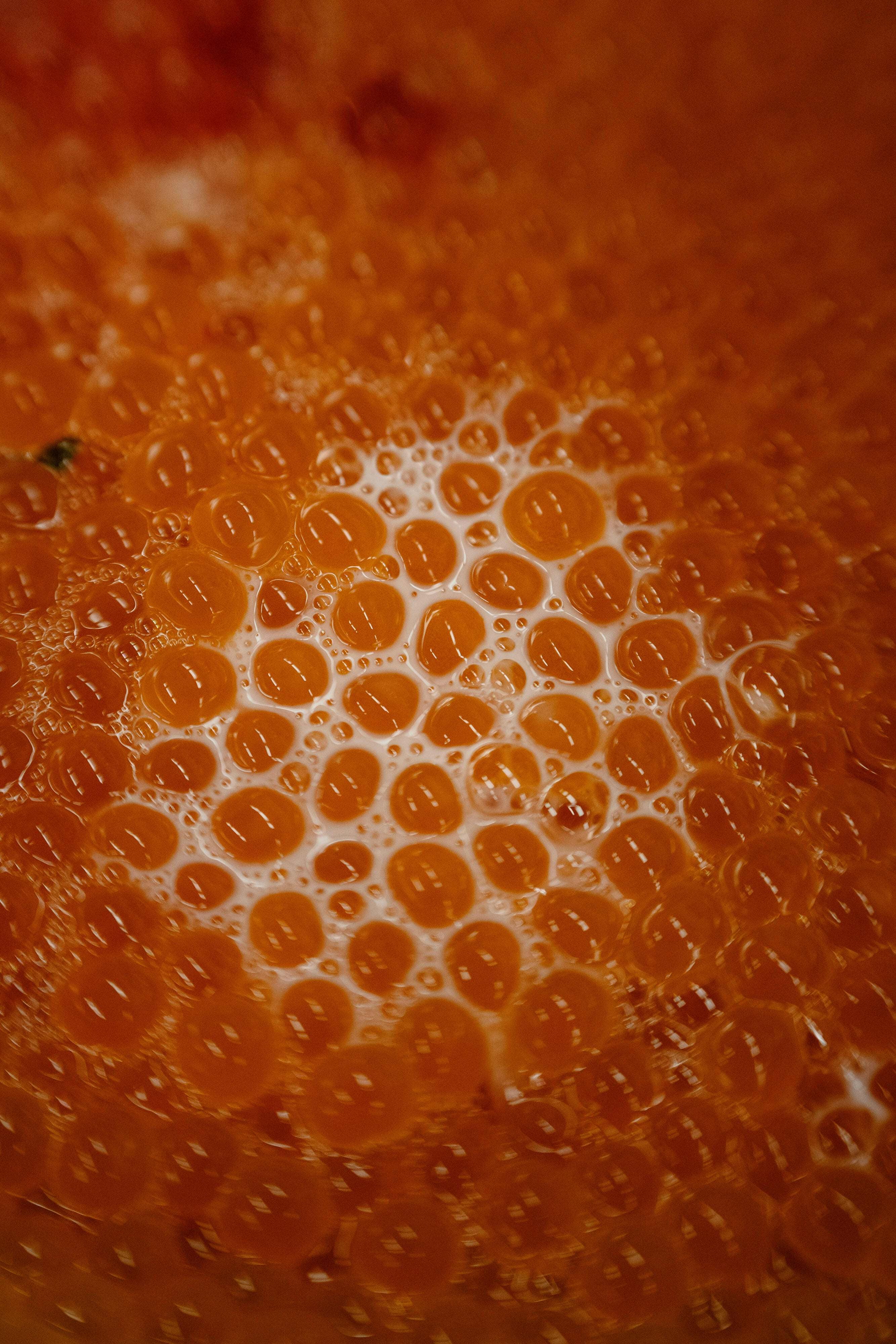 Salmon eggs and milt, mixed for fertilization as part of the broodstock program, at the Quinsam Hatchery in Campbell River, Canada.