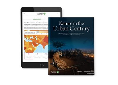 Screenshot of a tablet with a data map of Eastern Hemisphere countries and a report cover titled Nature in the Urban Century.
