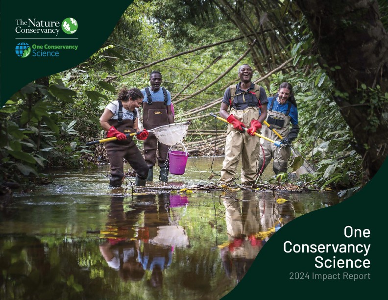4 people in a river with nets collecting samples.