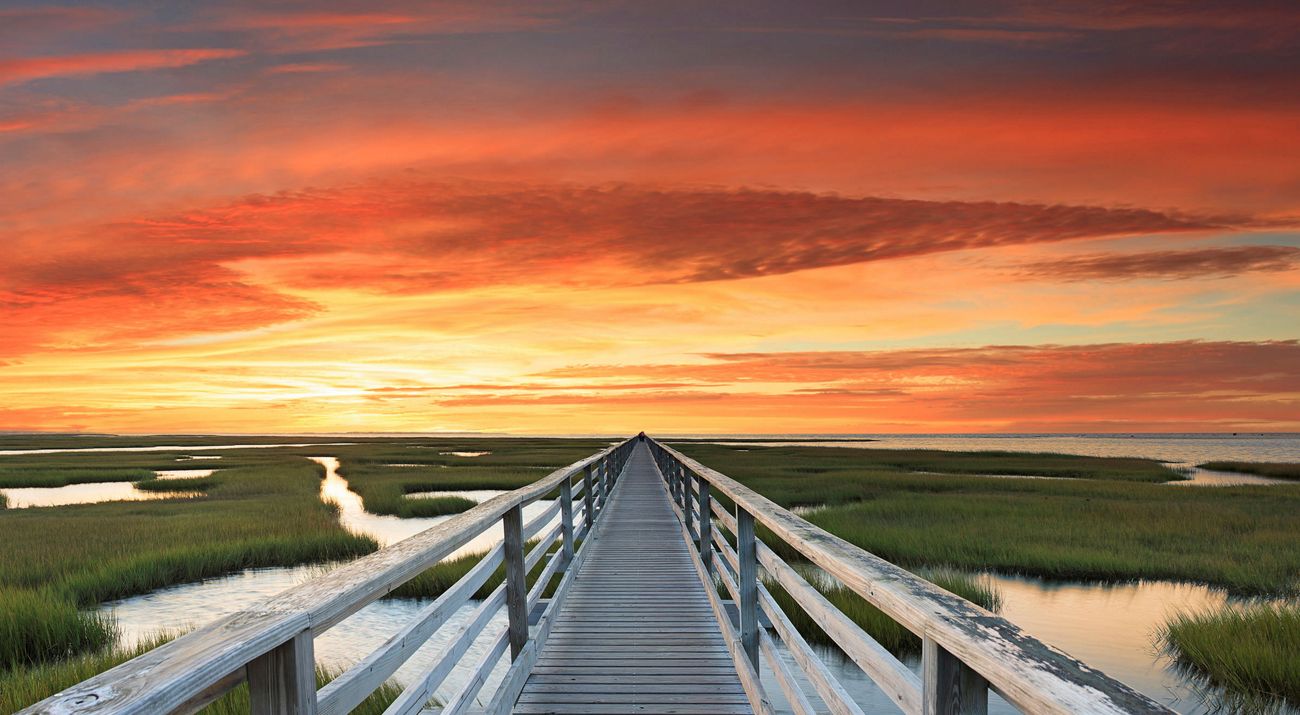 Bass Hole boardwalk in Yarmouthport, Massachusetts.