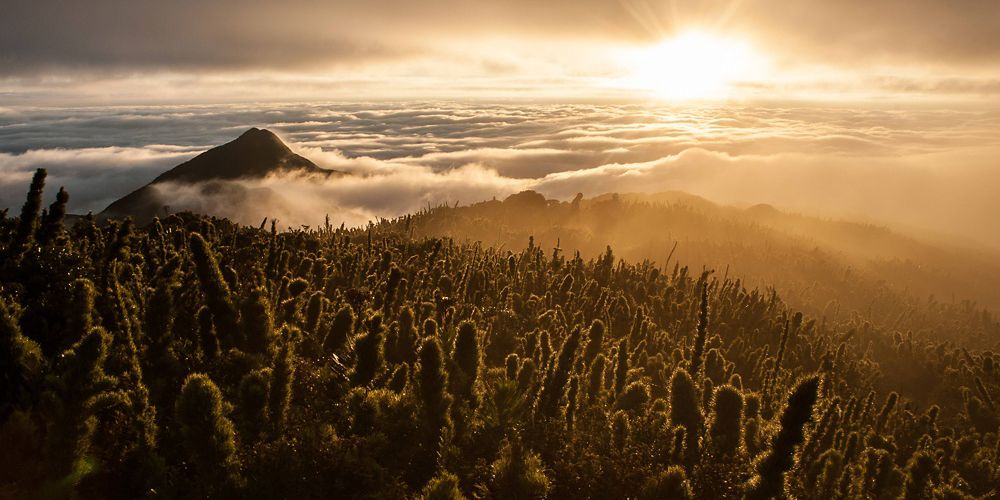 Sunrise above fields in Caratuva, Brazil.