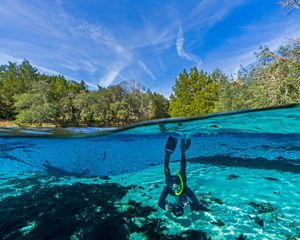 Underwater view of a scuba diver swimming through a freshwater spring.