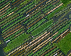 Aerial view of a floating farm.