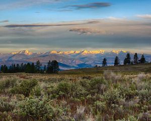 Photo of a brushy meadow in foreground, with sunlit, snow-capped mountains in the background and light clouds above in Washington's Tunk Creek Valley.