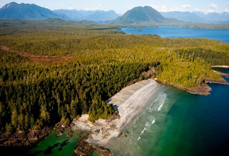 Aerial view of British Columbia's southern coast, with a body of water along the edge of dense forests and mountains in the distance.