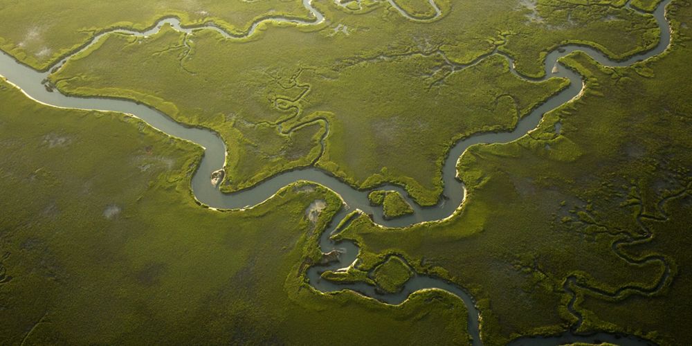 winding rivers and creeks through a green landscape.