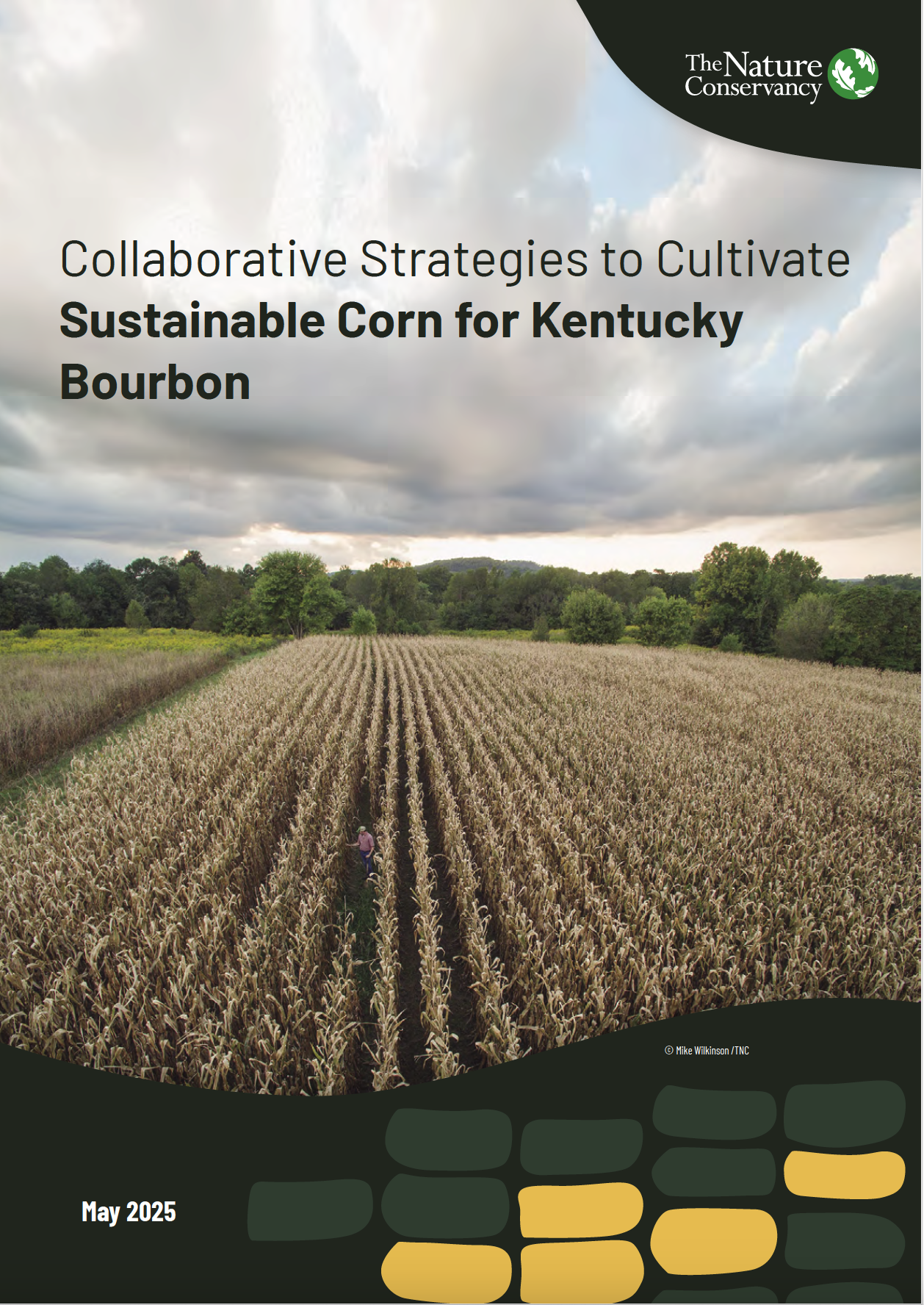to Cultivate Sustainable Corn for Kentucky Bourbon - full report