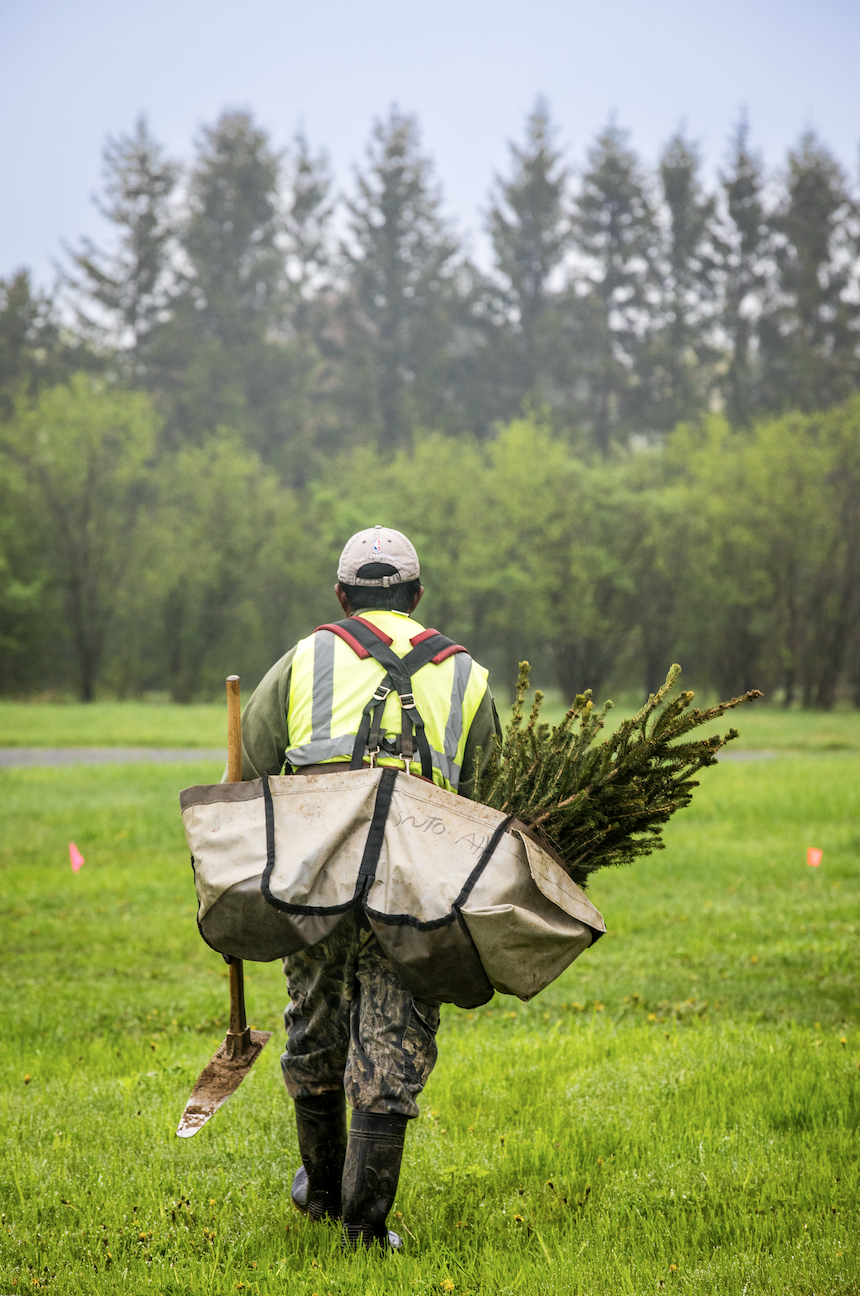 man carrying a bag of seedlings on his back.
